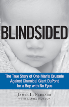 Book cover for Blindsided by James L. Ferraro